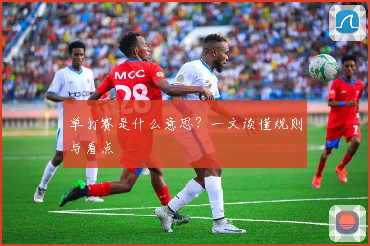 单打赛是什么意思？一文读懂规则与看点